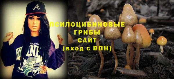 тгк Алексеевка