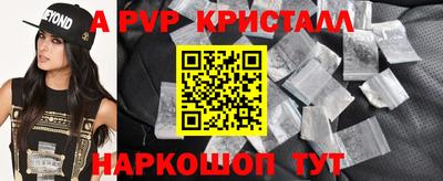 бошки Кингисепп