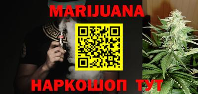 бошки Кингисепп