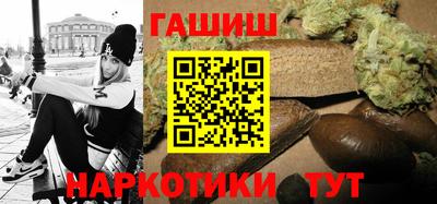 бошки Кингисепп