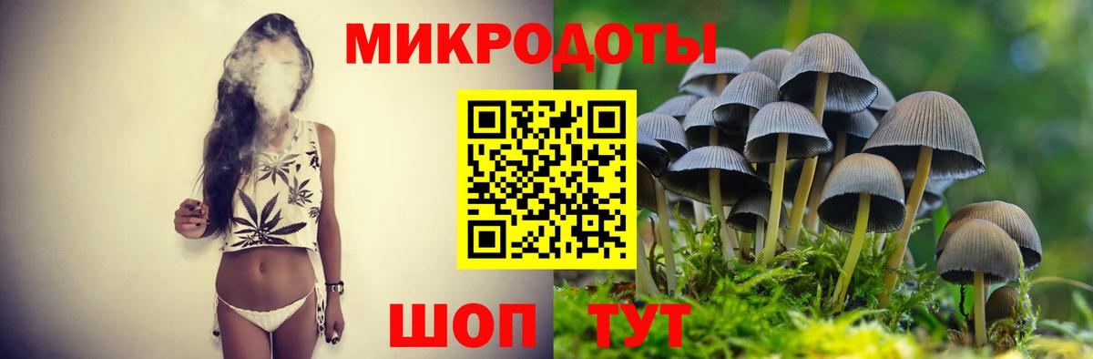 Псилоцибиновые грибы прущие грибы Заинск